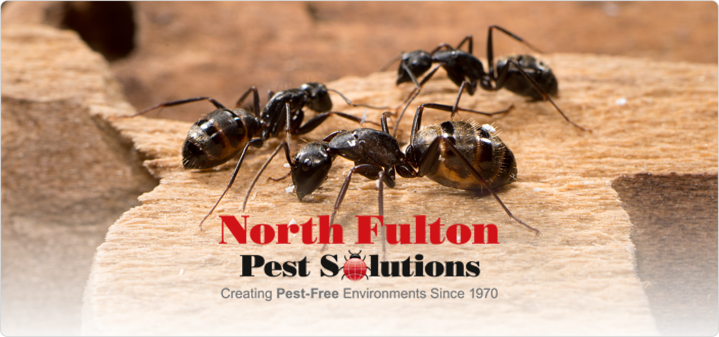 Norcross,GA Pest Control Services