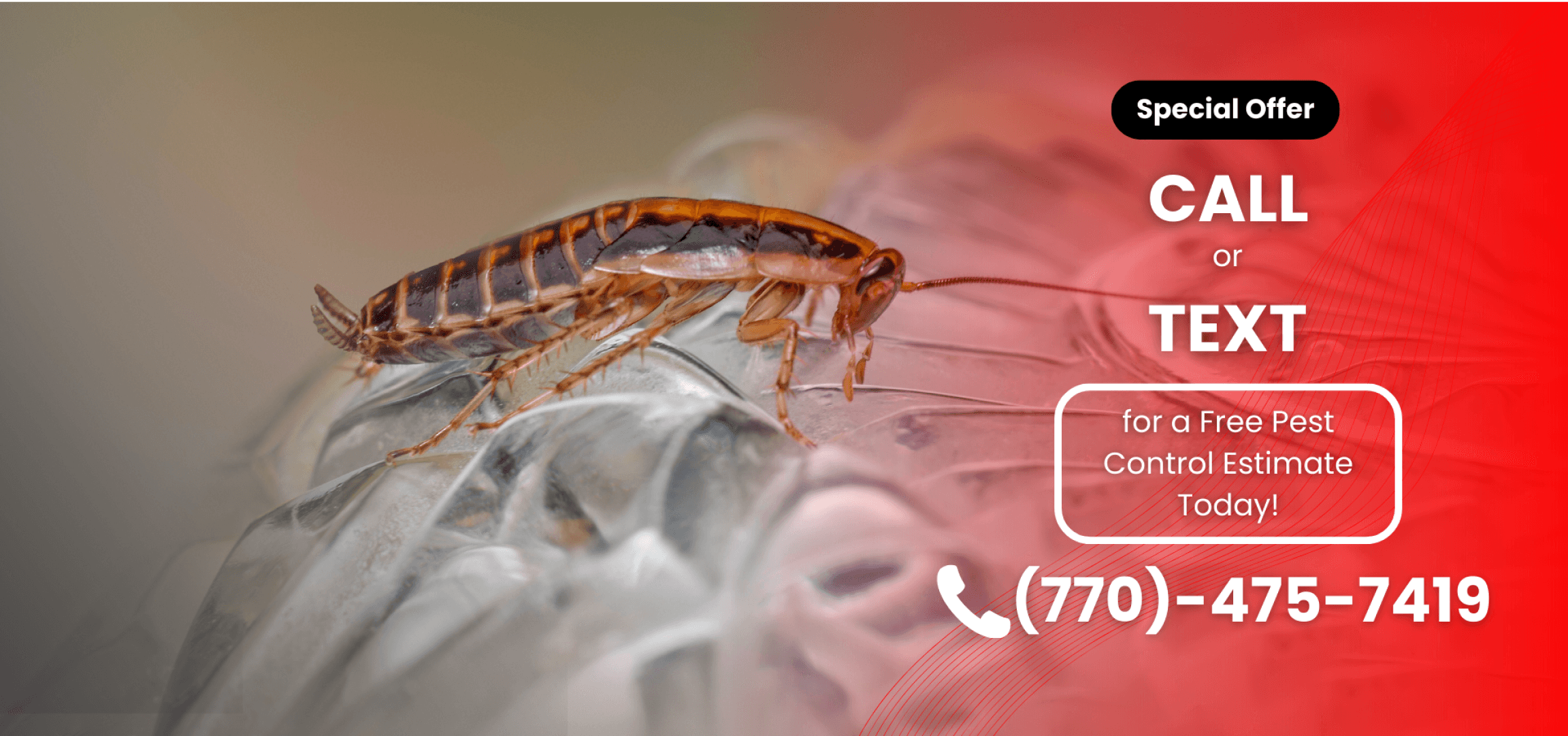 Special offer for dunwoody residents