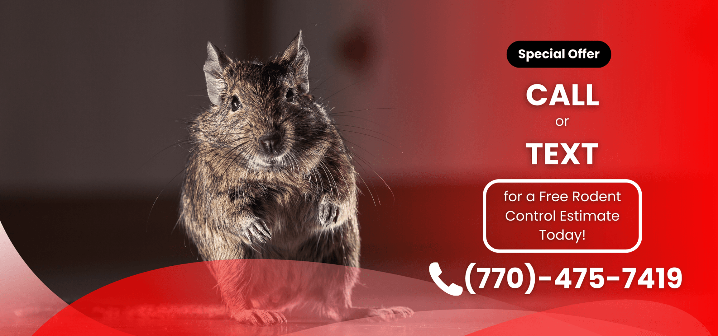 North Fulton Pest Solutions technician installing a rodent control trap at a Sandy Springs residential property.