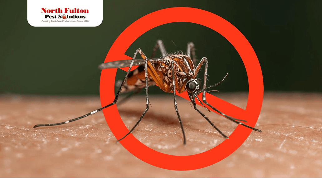 Patio Plan: Fans, Lighting, and Layout That Help Reduce Mosquitoes in Marietta, GA