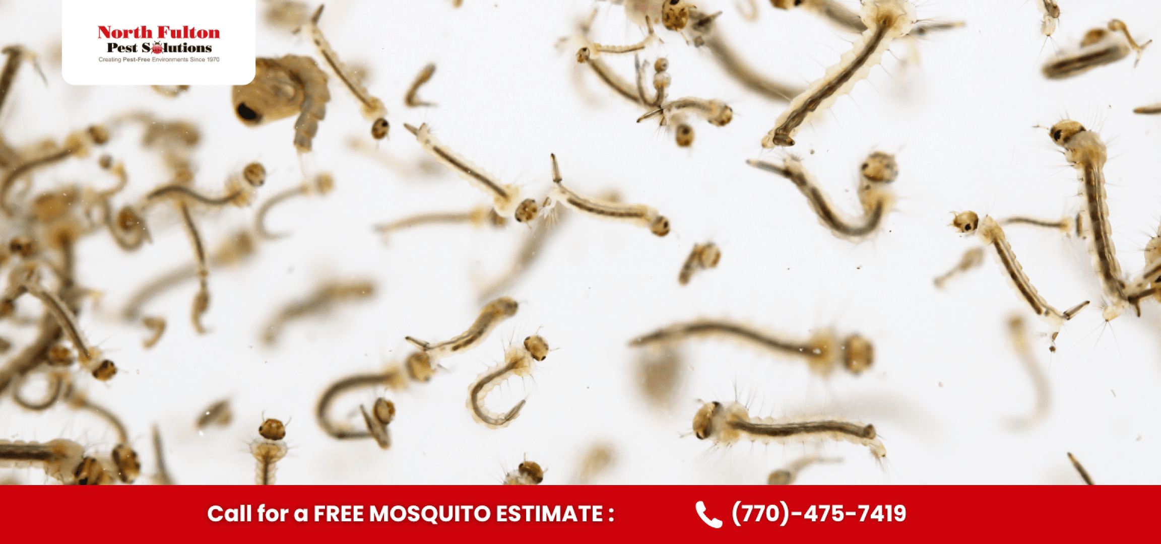 Seasonal mosquito activity in Dunwoody, GA during warm and humid months