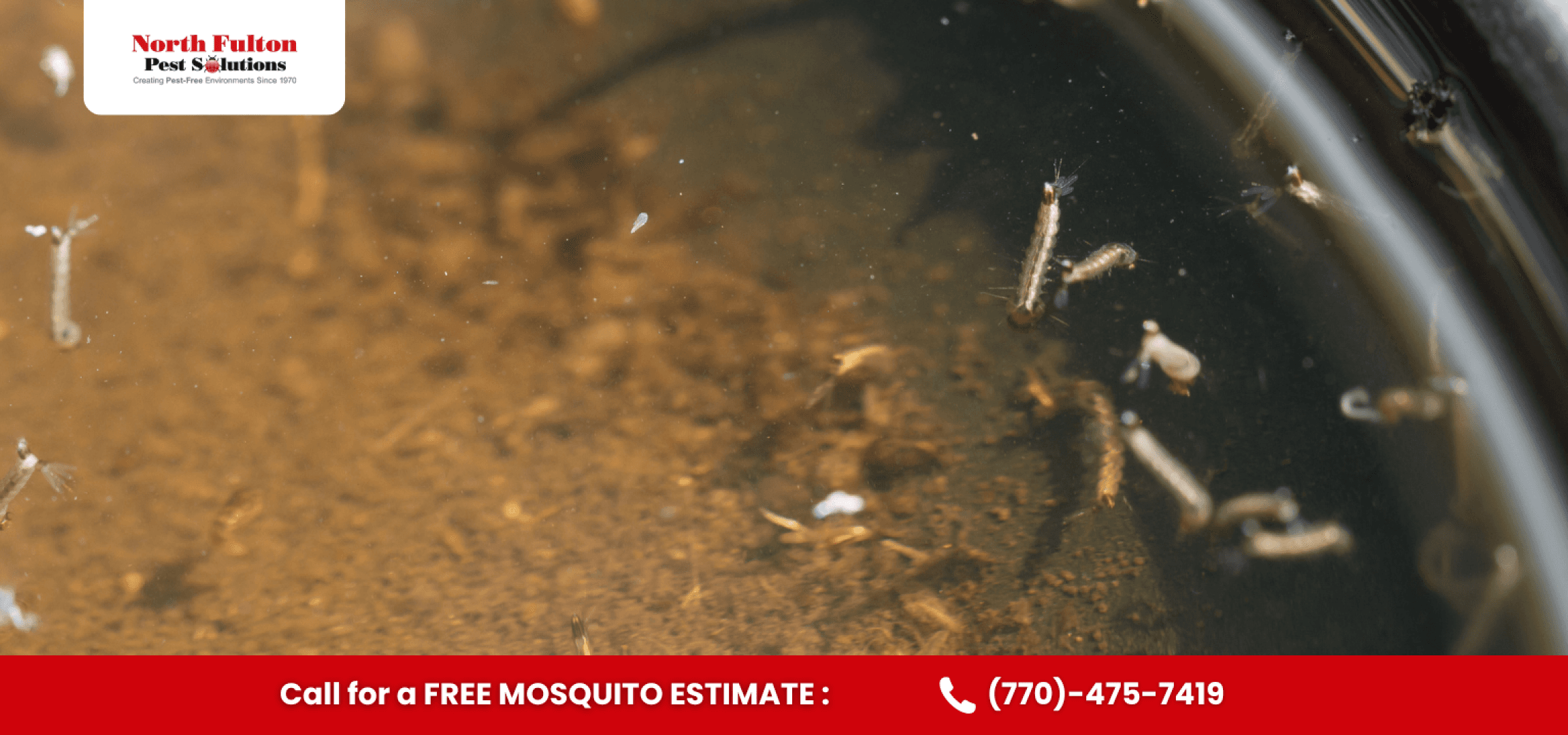 Seasonal mosquito activity in Dunwoody, GA during warm and humid months