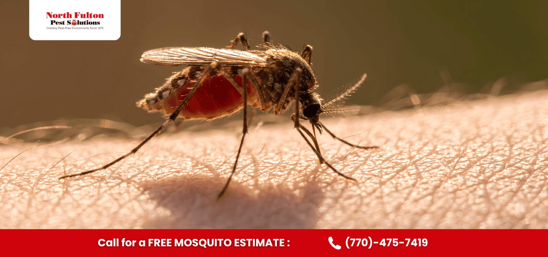 Seasonal mosquito activity in Dunwoody, GA during warm and humid months