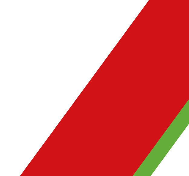 Top Pest Control Companies in Atlanta North Fulton Pest Solutions