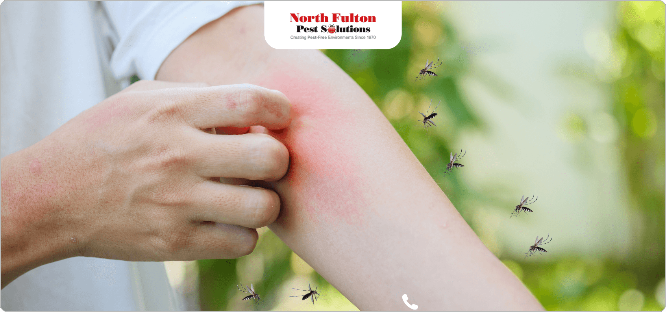 Cold snaps push roof rats & squirrels to rooflines, vents, soffits.