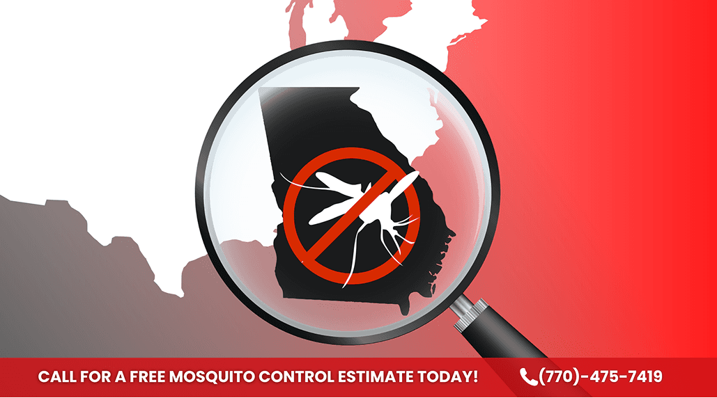 Top 7 Mosquito Mistakes in Marietta Yards