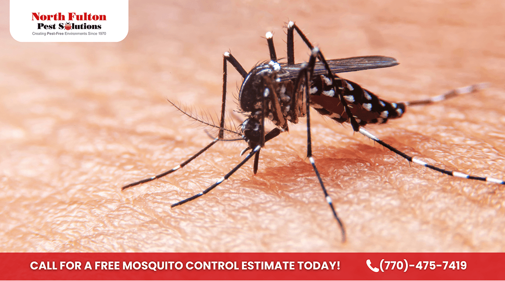 After the Storm: Marietta’s 72 - Hour Mosquito Protocol