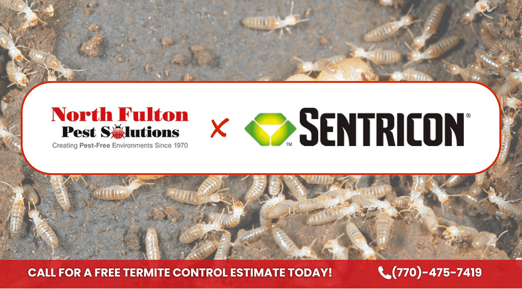 Sentricon Vs Liquid Treatments
