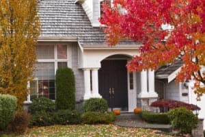 Pest Prevention Tips for the Fall in Georgia