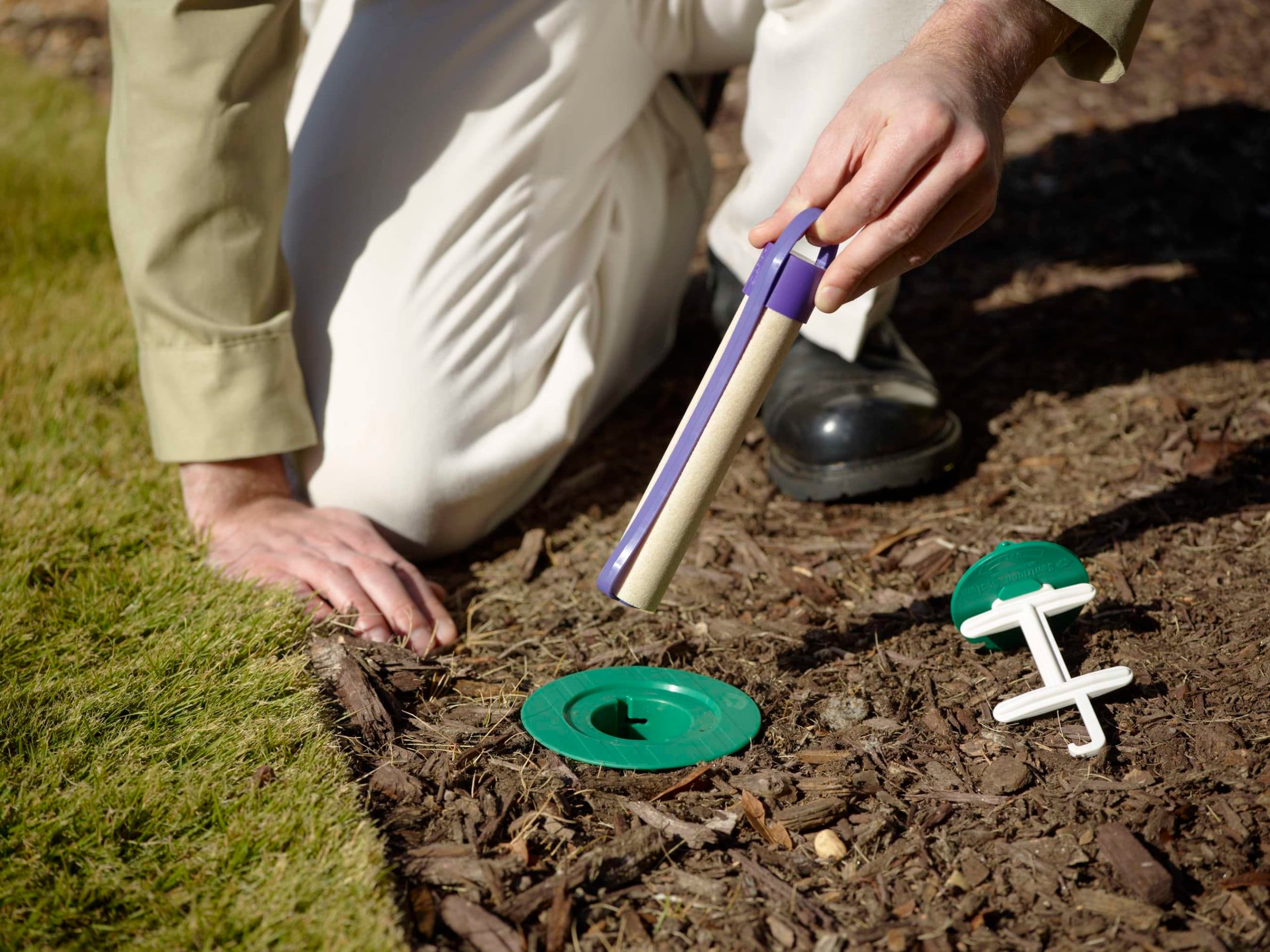 Termite baits