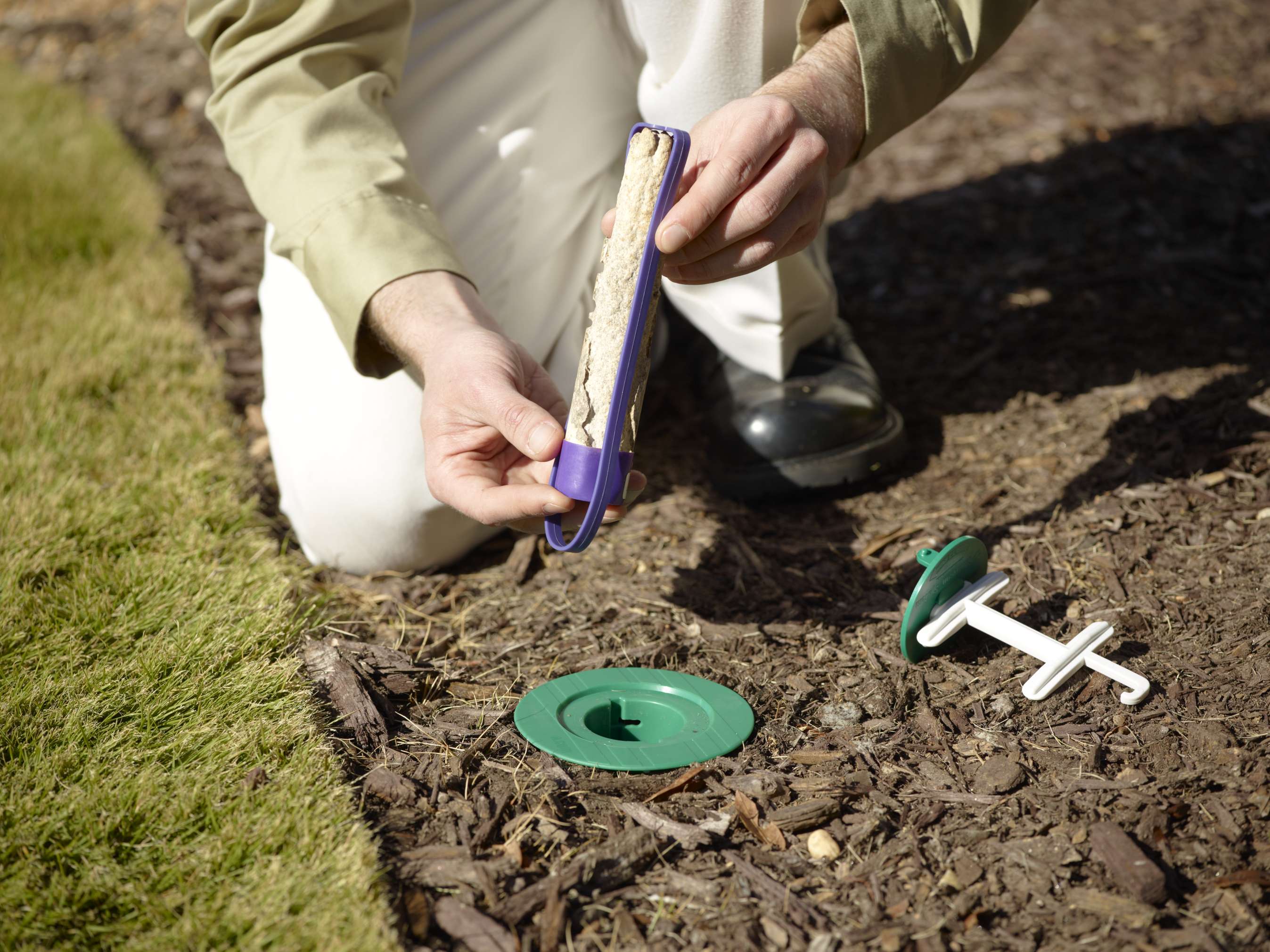 Proven termite colony elimination