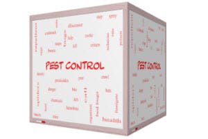 Atlanta bug control companies