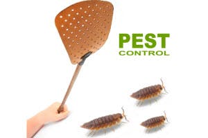 Is Pest Control Necessary
