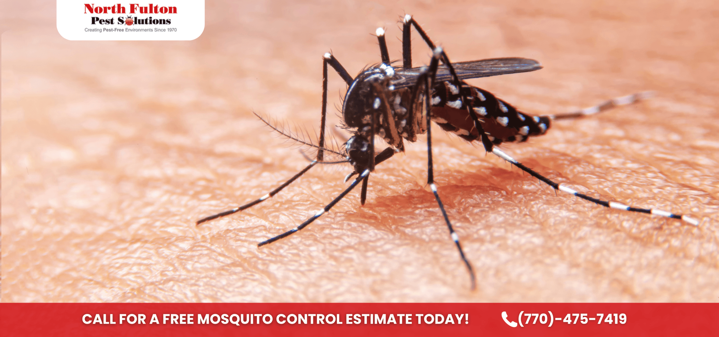 Free Estimate for no insect