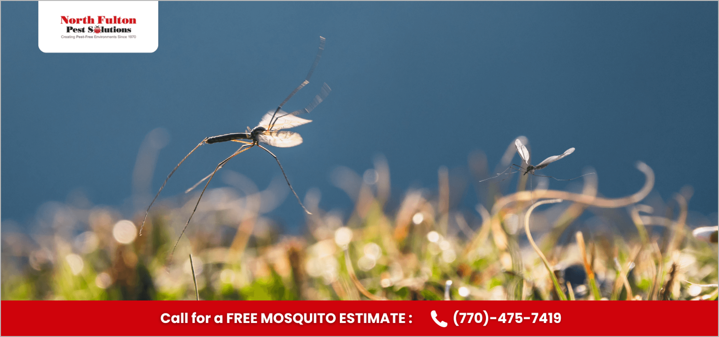 Technician checking clogged gutters and downspouts after an Atlanta storm for mosquito breeding