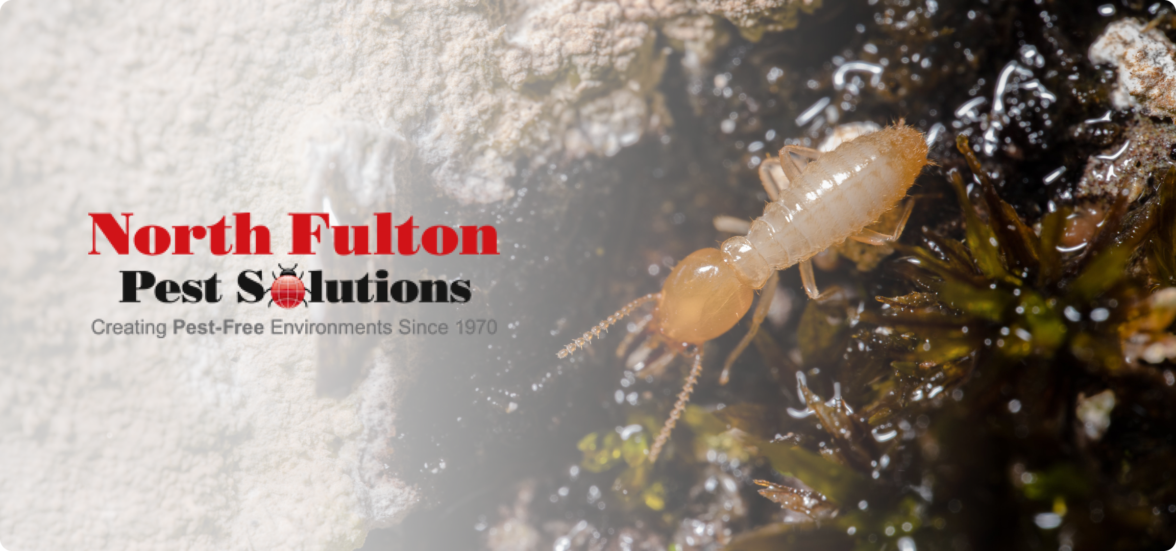 North Fulton Pest Solutions experts conducting a thorough termite inspection at a Kennesaw property.