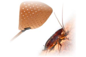 indoor bug control johns creek