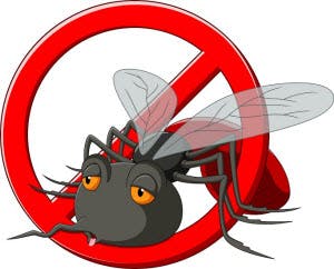keep mosquitoes away north altanta