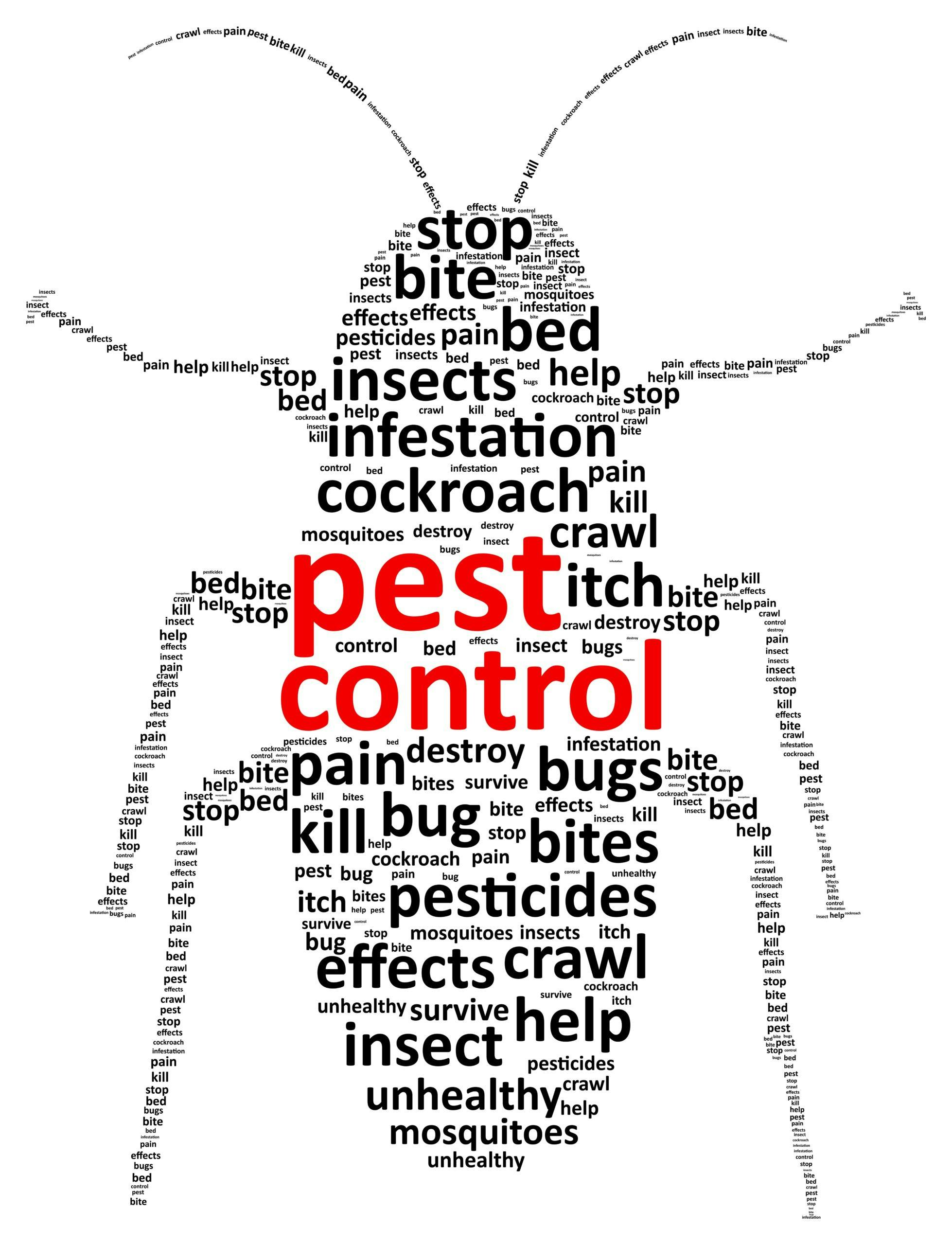proper-pest-control