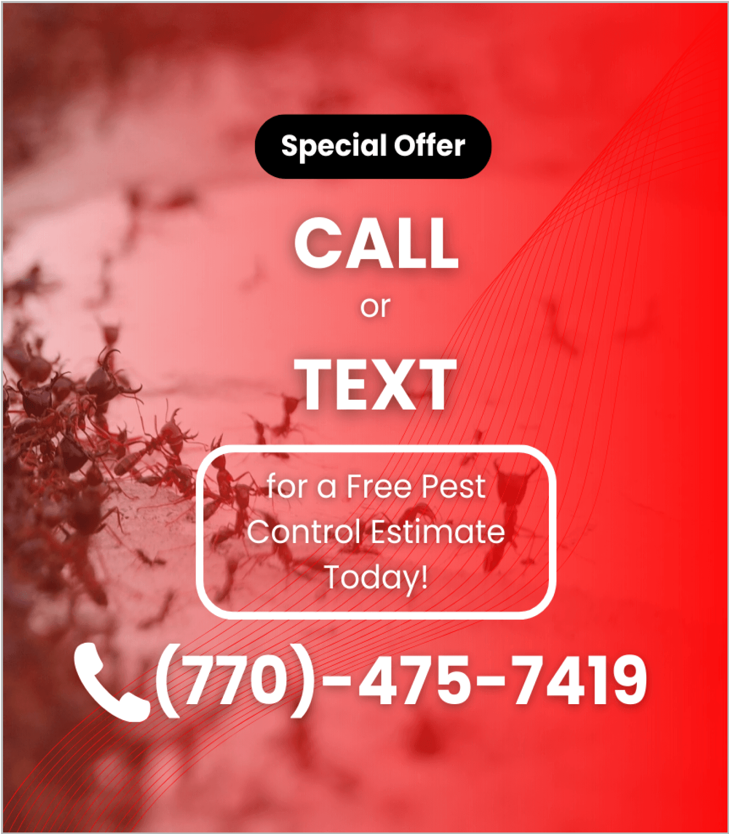 Special Offer call or text