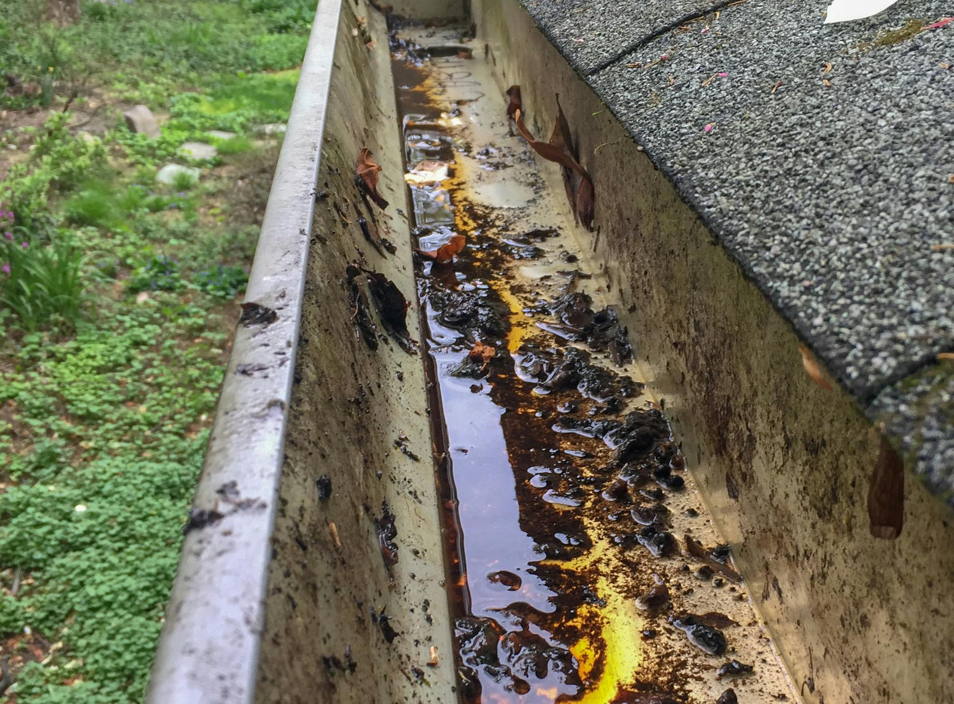 Stagnant water in gutters