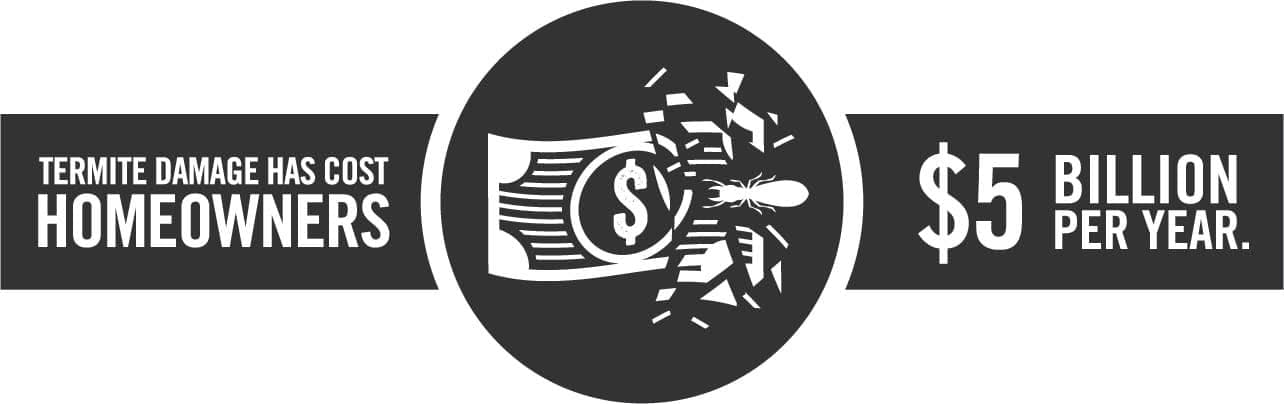 Home exterior highlighting termite damage risk