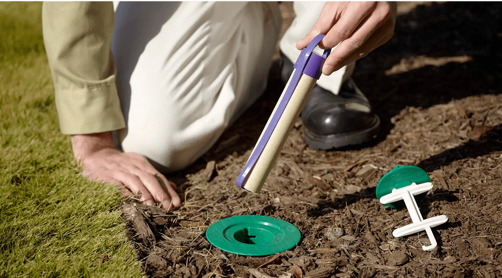 How Effective Are Modern Termite Elimination Methods in Dunwoody?